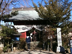 IMG_0554