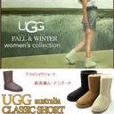 UGG(アグ) CLASSIC SHORT(クラシックショート) 5825 チョコレート US7.0(24cm)