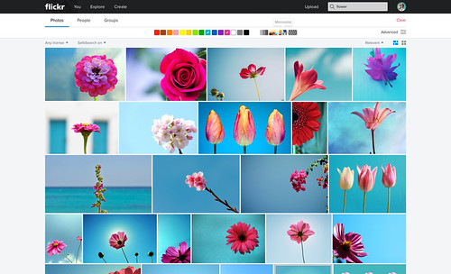 2 Color Search + Minimalist