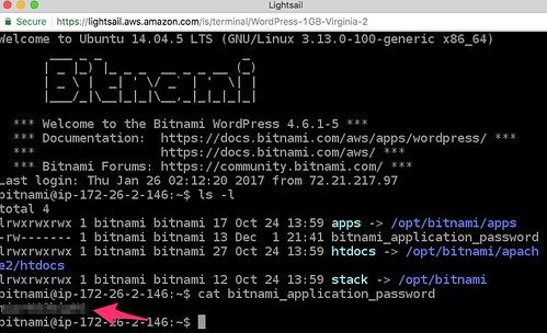 bitnami