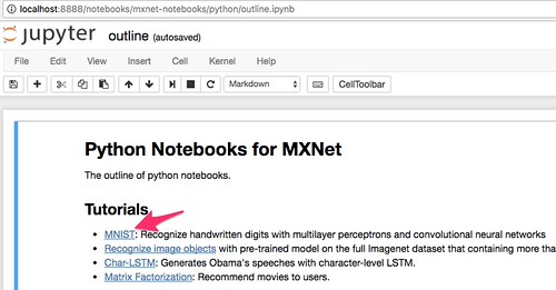 mxnet