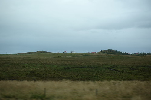 DSC05539