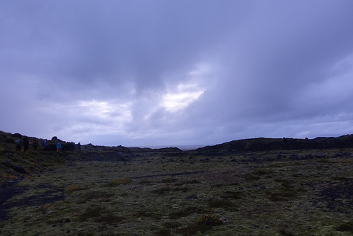DSC05700