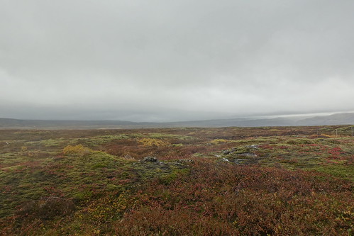 DSC05751